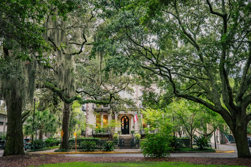 A grand Savannah house seen through live oaks draped in Spanish moss