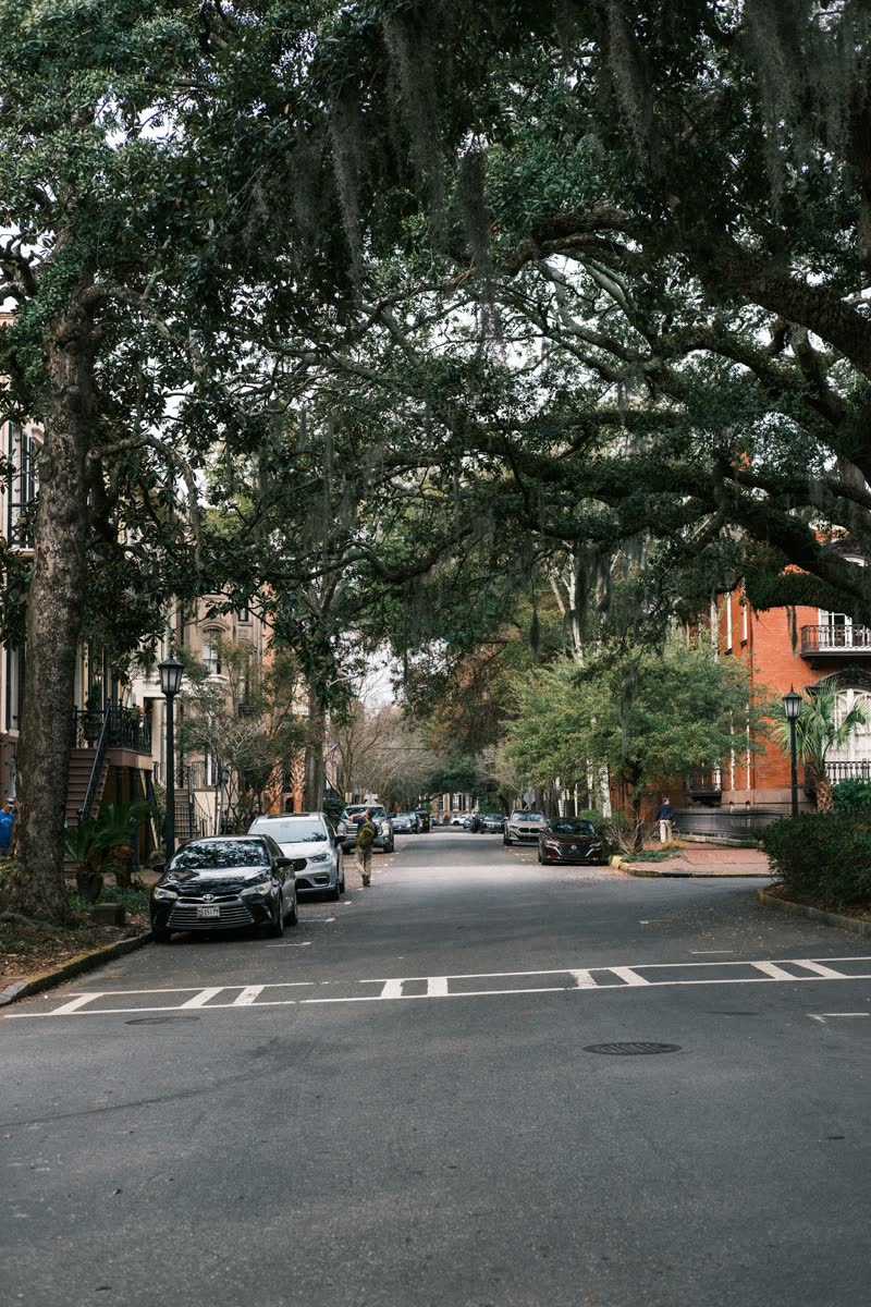 A quiet Savannah street lined with oaks and brick townhouses